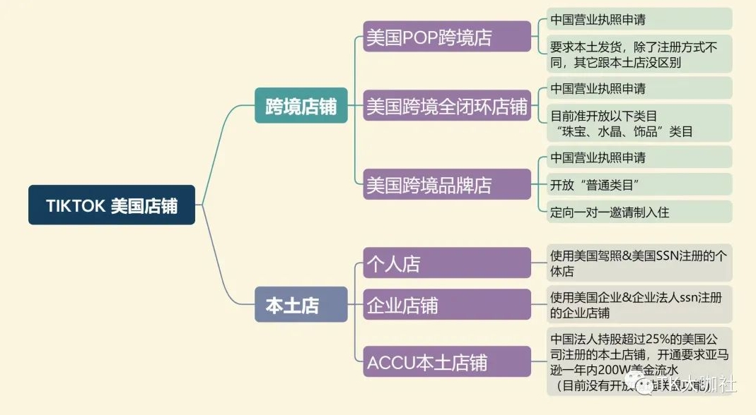 tiktok店鋪選擇
