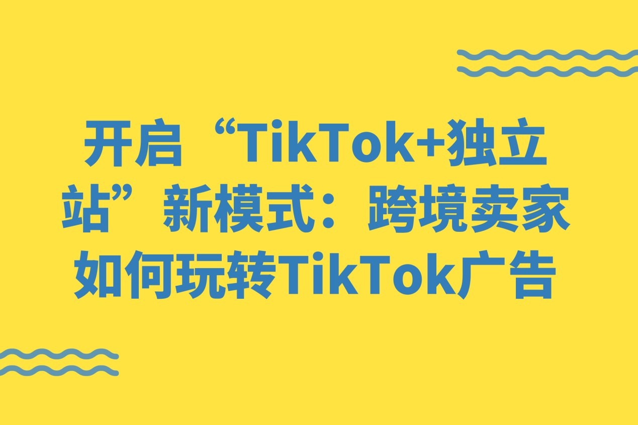 跨境賣家如何高效玩轉，TikTok+獨立站