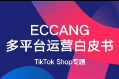 TikTok Shop平臺運(yùn)營白皮書-易倉科技