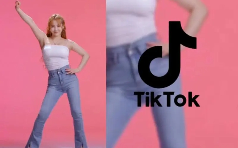 tiktok成人版下載