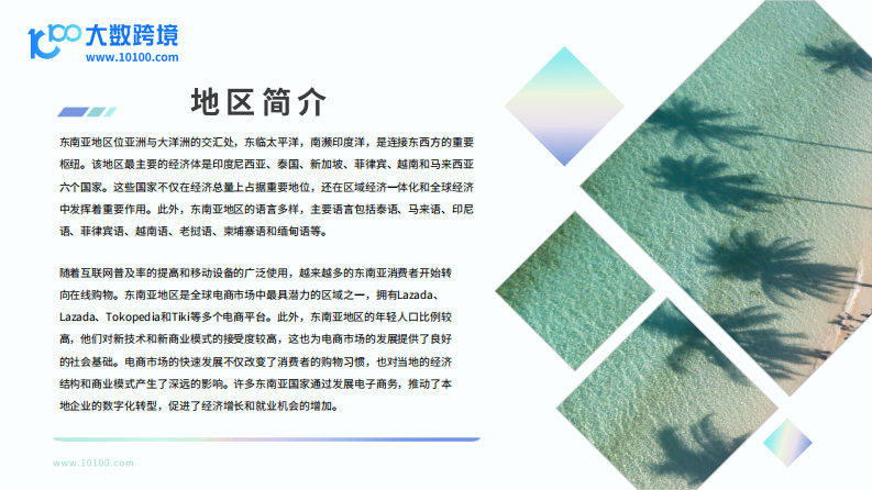 2024東南亞電商市場(chǎng)洞察報(bào)告-2