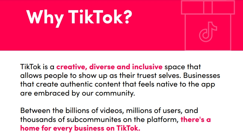 TikTok中小企業(yè)創(chuàng)意指南-假日版-3