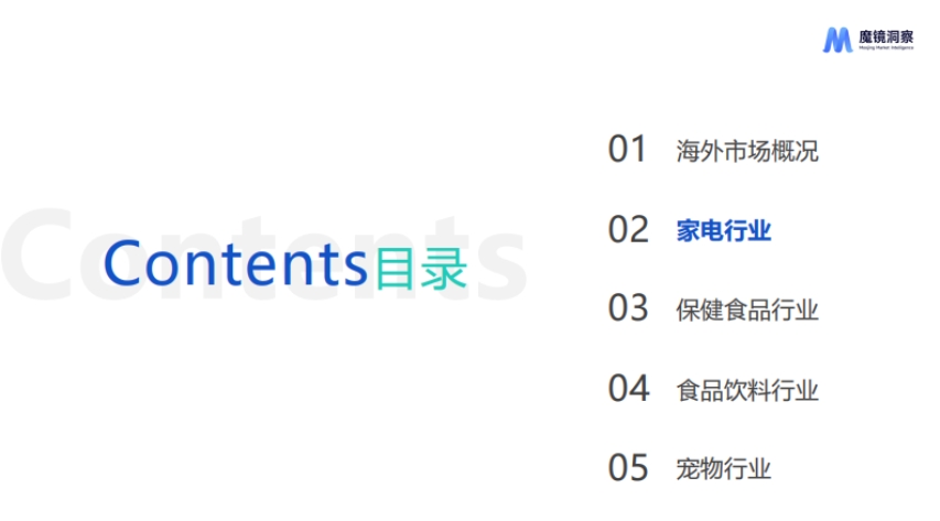 2024年海外家電白皮書-2