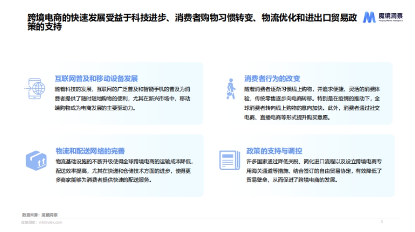 2024年海外家電白皮書-4
