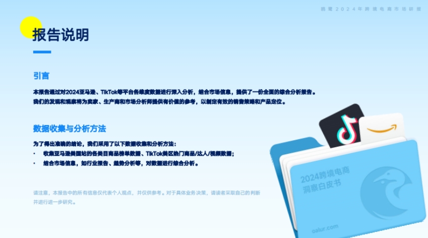 2024跨境電商洞察白皮書(shū)-2
