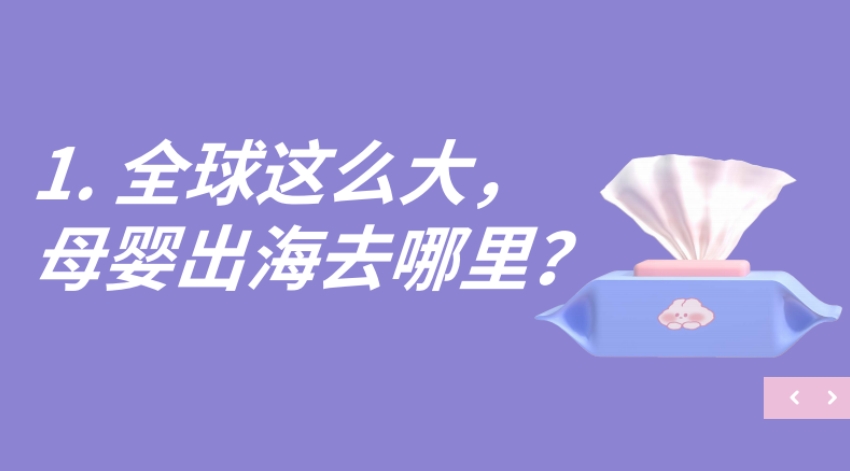 2024母嬰行業(yè)出海白皮書-3
