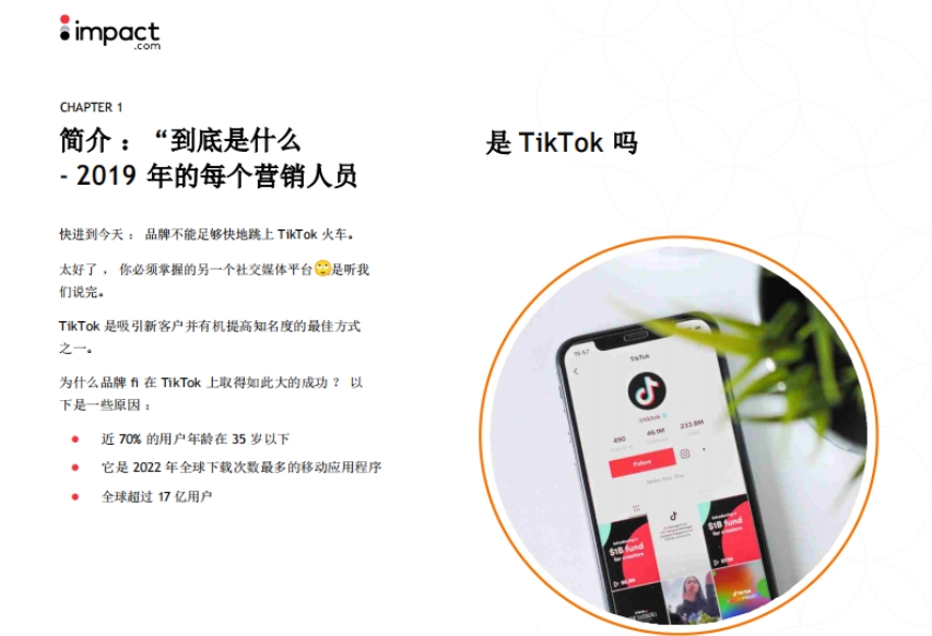 TikTok品牌營(yíng)銷(xiāo)手冊(cè)-3