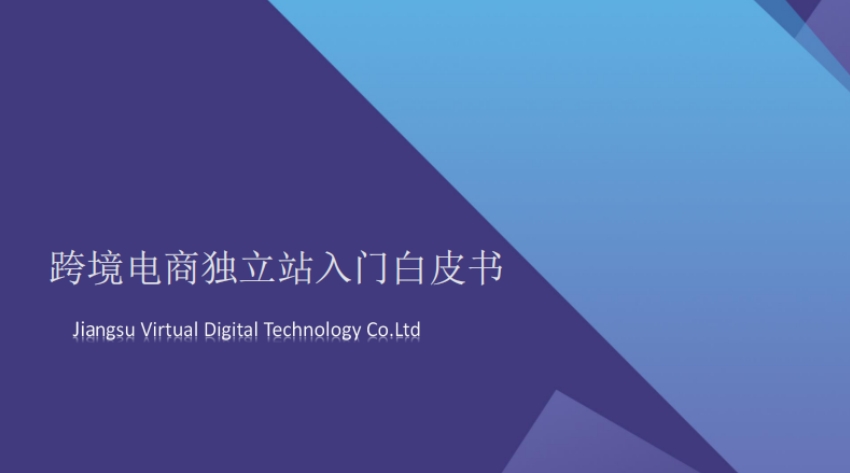 2024年跨境電商獨立站入門白皮書