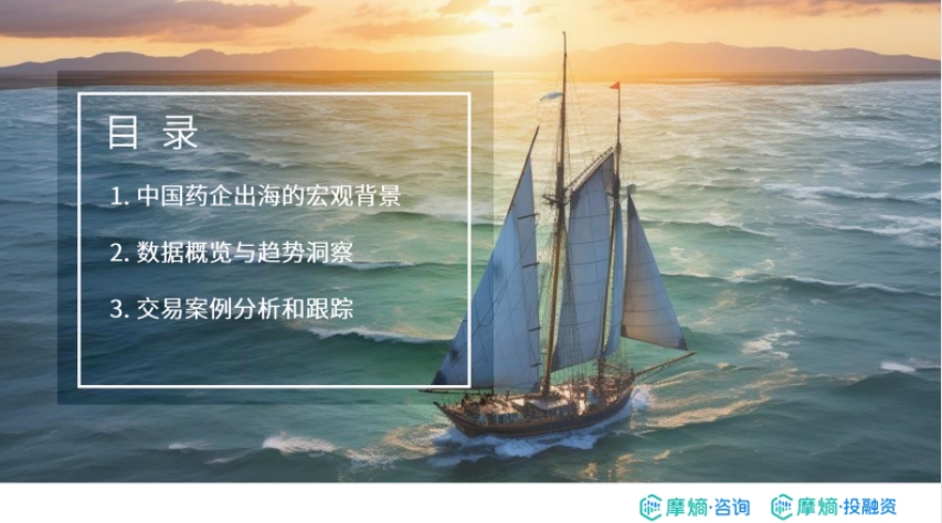2024年中國藥企出海的布局實(shí)踐報(bào)告-2