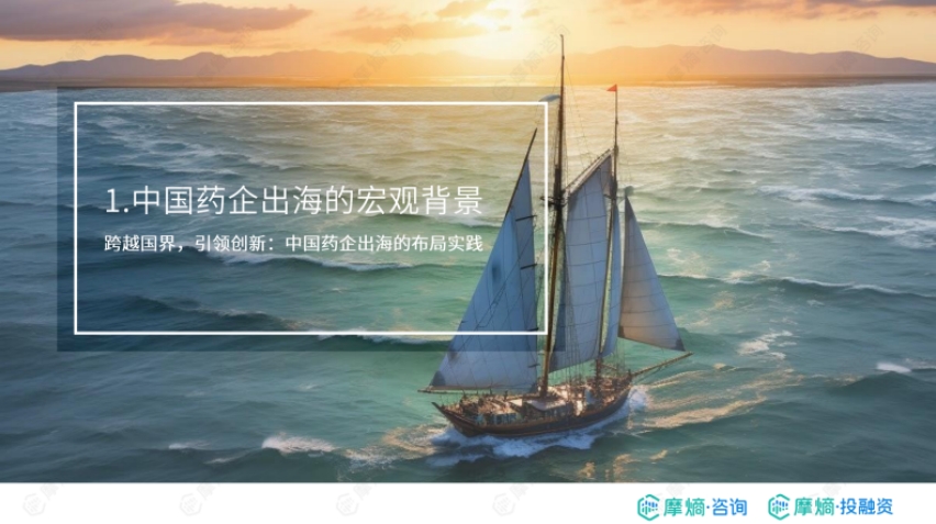 2024年中國藥企出海的布局實(shí)踐報(bào)告-3
