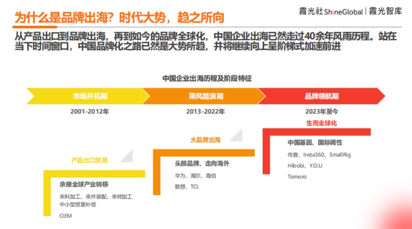 2024年中國企業(yè)出海洞察及全球趨勢展望報告-4