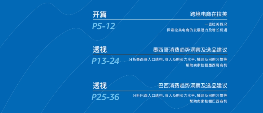 2024年出口拉丁美洲跨境電商行業(yè)洞察報(bào)告-3