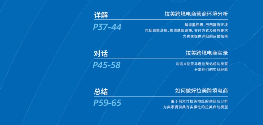 2024年出口拉丁美洲跨境電商行業(yè)洞察報(bào)告-4