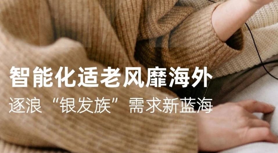 2024年海外智能適老化市場洞察及產(chǎn)品方向報告-Westwin