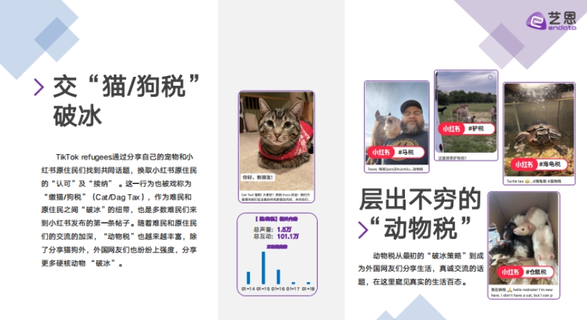 2025年TikTok用戶轉(zhuǎn)戰(zhàn)小紅書(shū)-4