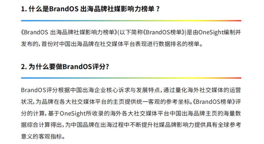 2024年Q4 BrandOS TOP100出海品牌社媒影響力榜單-5