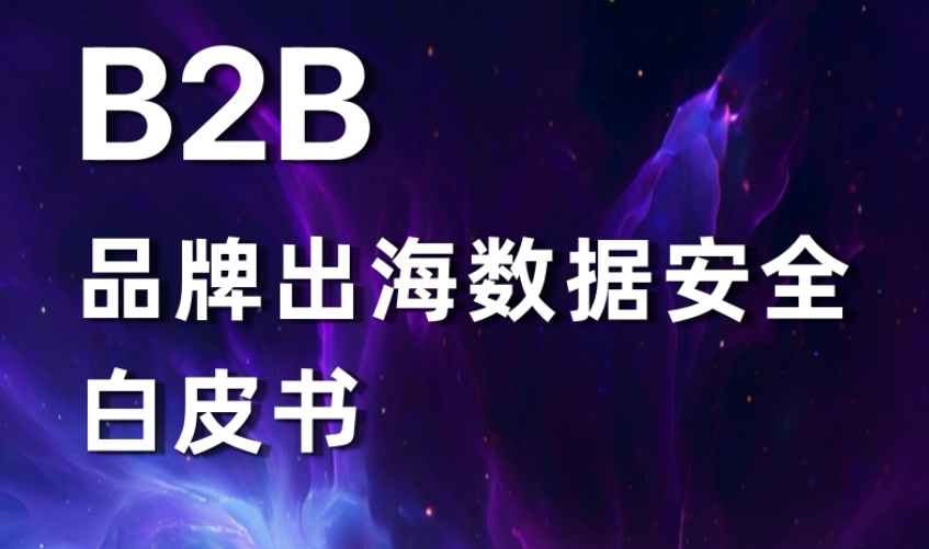 2025年B2B品牌出海數(shù)據(jù)安全白皮書