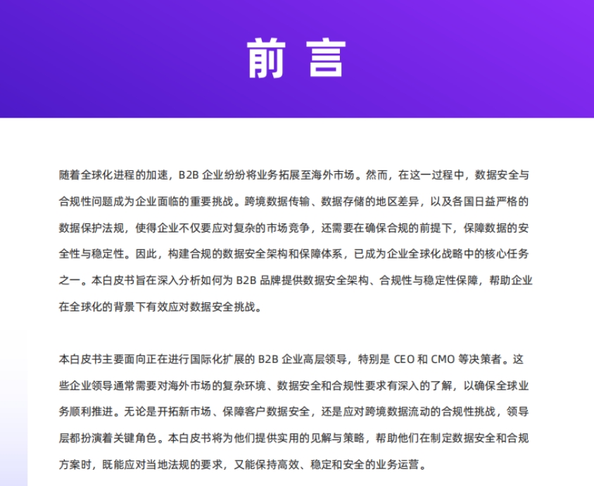 2025年B2B品牌出海數(shù)據(jù)安全白皮書(shū)-2