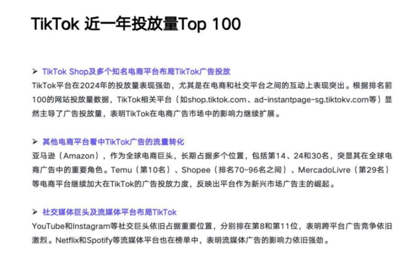 TikTok Shop2024年度報告-5