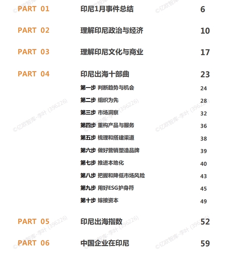 2025中國企業(yè)出海印尼月度研究報(bào)告-2