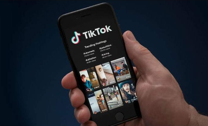 tiktok網(wǎng)頁版