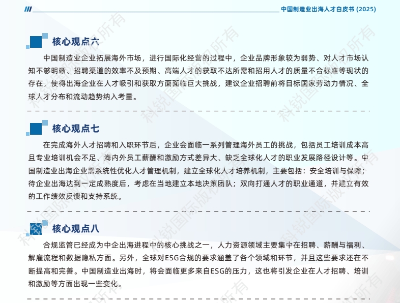 2025中國制造業(yè)出海人才白皮書-4