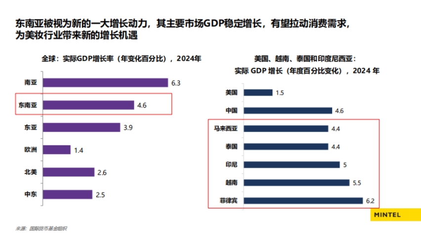 2025出海東南亞美容個護趨勢解讀報告-4