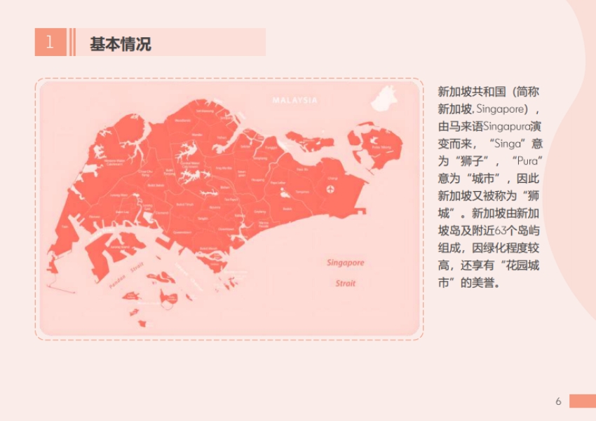 2025年東南亞出海指南報告-新加坡篇-4