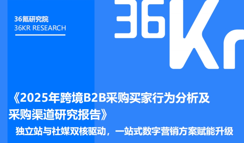 2025年跨境B2B采購買家行為分析及采購渠道研究報(bào)告