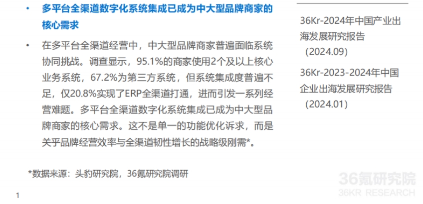 2025年中國跨境電商中大型品牌商家ERP需求洞察-3