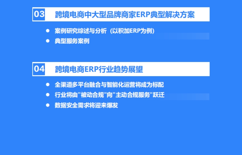 2025年中國跨境電商中大型品牌商家ERP需求洞察-5