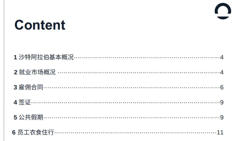 2025年沙特阿拉伯出海白皮書-3