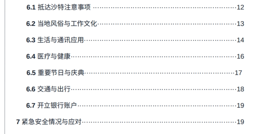 2025年沙特阿拉伯出海白皮書-4