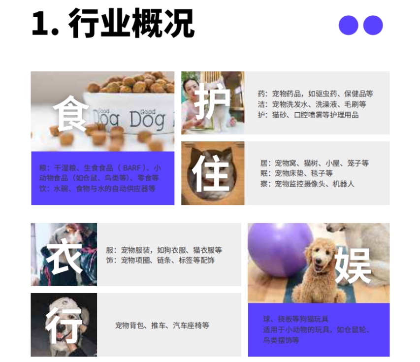 2024中國寵物產(chǎn)業(yè)出海分析報(bào)告-2