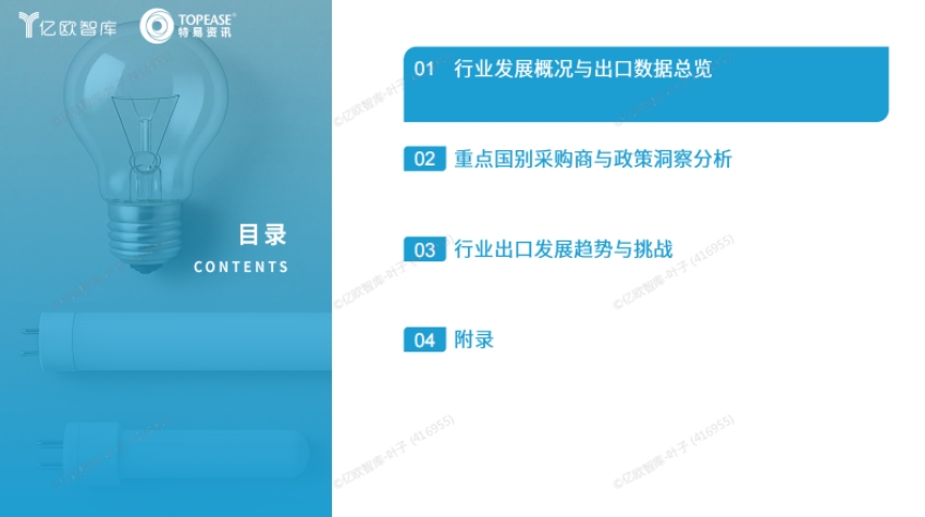 2025年中國照明行業(yè)出海國別機(jī)會(huì)的洞察報(bào)告-2