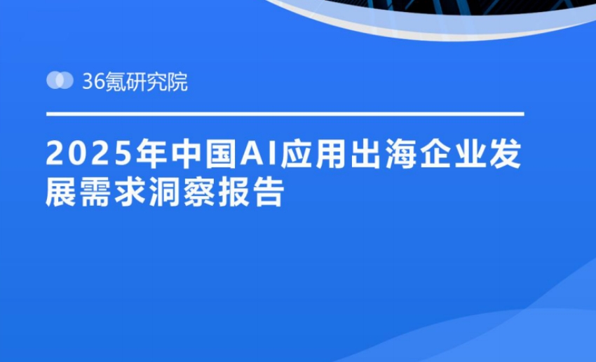 2025年中國AI應用出海企業(yè)發(fā)展需求洞察報告-1