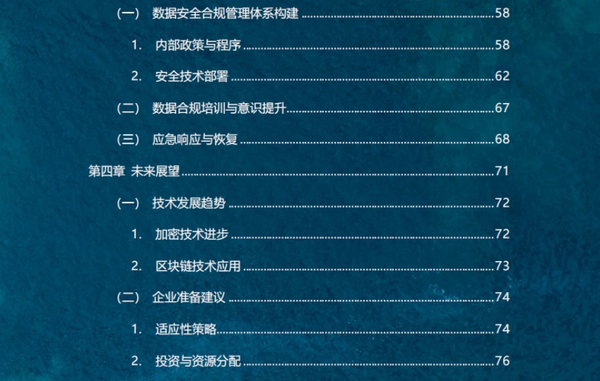 2024年企業(yè)出海數(shù)據(jù)安全合規(guī)年報(bào)-5