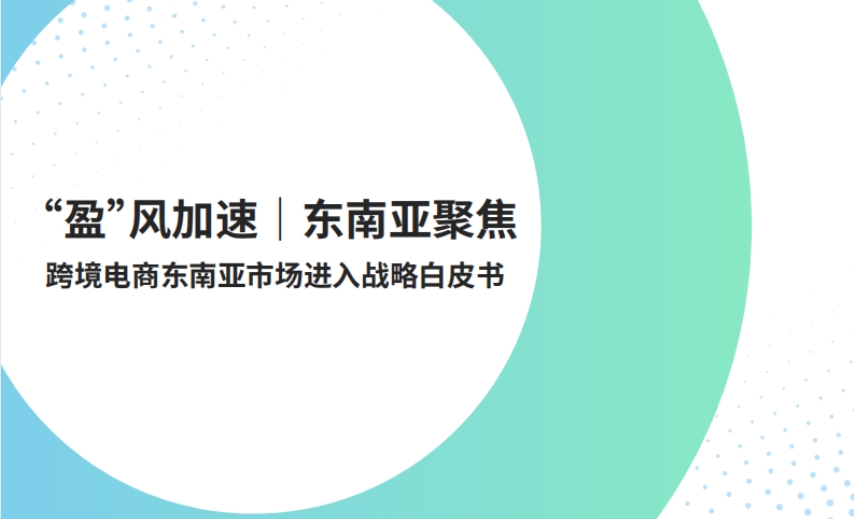 2025年跨境電商東南亞市場進入戰(zhàn)略白皮書